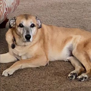 Meet your Posher, Karla